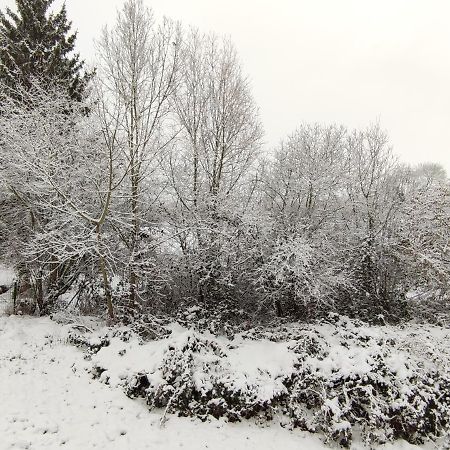 Gite Les Eylauds Pionsat Bagian luar foto